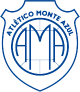 Gremio Prudente