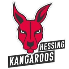 BG Hessing Leitershofen