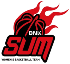 Sinhan Bank S-Birds
