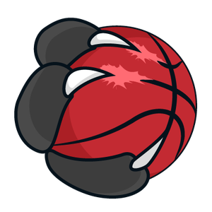 Chicago Bulls