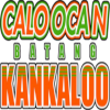Iloilo United Royals