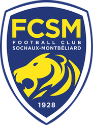 Le Puy Foot 43 Auvergne